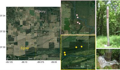 Lord of the Diptera (and Moths and a Spider): Molecular Diet Analyses and Foraging Ecology of Indiana Bats in Illinois